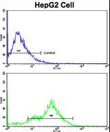 Flow cytometric of HepG2 cells using CEACAM Antibody (bottom histogram) compared to a negative control cell (top histogram). FITC-conjugated goat-anti-rabbit secondary antibodies were used for the analysis.