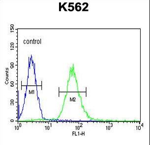 ADCY10 Antibody flow cytometry of K562 cells (right histogram) compared to a negative control cell (left histogram). FITC-conjugated goat-anti-rabbit secondary antibodies were used for the analysis.