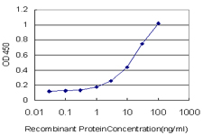 Detection limit for recombinant GST tagged ADCY2 is approximately 1 ng/ml as a capture antibody.