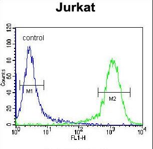 ADCY2 Antibody flow cytometry of Jurkat cells (right histogram) compared to a negative control cell (left histogram). FITC-conjugated donkey-anti-rabbit secondary antibodies were used for the analysis.