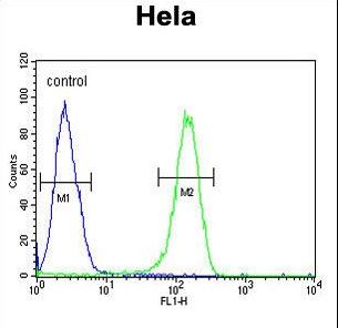 ADCY4 Antibody flow cytometry of HeLa cells (right histogram) compared to a negative control cell (left histogram). FITC-conjugated goat-anti-rabbit secondary antibodies were used for the analysis.