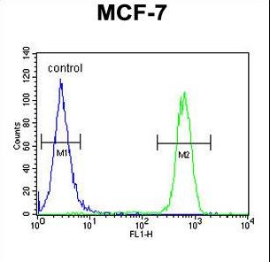 CDC37 Antibody flow cytometry of MCF-7 cells (right histogram) compared to a negative control cell (left histogram). FITC-conjugated goat-anti-rabbit secondary antibodies were used for the analysis.