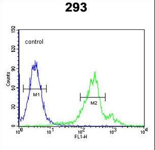 CDC42EP3 Antibody flow cytometry of 293 cells (right histogram) compared to a negative control cell (left histogram). FITC-conjugated goat-anti-rabbit secondary antibodies were used for the analysis.