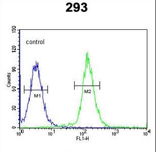 CDC45L Antibody flow cytometry of 293 cells (right histogram) compared to a negative control cell (left histogram). FITC-conjugated goat-anti-rabbit secondary antibodies were used for the analysis.