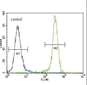 E Cadherin (CDH1) Antibody flow cytometry of 293 cells (right histogram) compared to a negative control cell (left histogram). FITC-conjugated goat-anti-rabbit secondary antibodies were used for the analysis.