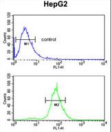 CDH20 Antibody flow cytometry of HepG2 cells (bottom histogram) compared to a negative control cell (top histogram). FITC-conjugated goat-anti-rabbit secondary antibodies were used for the analysis.