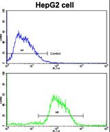 Flow cytometric of HepG2 cells using CDH4 Antibody (bottom histogram) compared to a negative control cell (top histogram). FITC-conjugated goat-anti-rabbit secondary antibodies were used for the analysis.