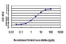 Detection limit for recombinant GST tagged CDKL1 is approximately 0.03 ng/ml as a capture antibody.