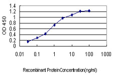 Detection limit for recombinant GST tagged CDKL4 is approximately 0.03 ng/ml as a capture antibody.