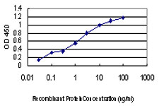 Detection limit for recombinant GST tagged CDKL4 is approximately 0.03 ng/ml as a capture antibody.