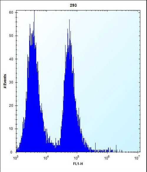 MLM Antibody flow cytometry of 293 cells (right histogram) compared to a negative control cell (left histogram). FITC-conjugated goat-anti-rabbit secondary antibodies were used for the analysis.