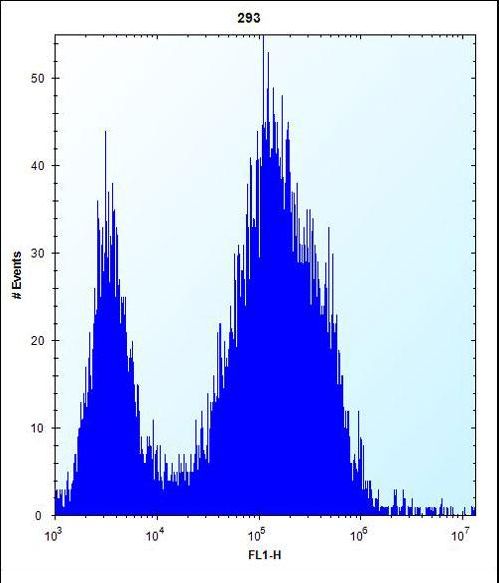 CDKN2B Antibody flow cytometry of 293 cells (right histogram) compared to a negative control cell (left histogram). FITC-conjugated goat-anti-rabbit secondary antibodies were used for the analysis.