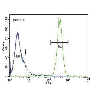 p19 Antibody flow cytometry of HeLa cells (right histogram) compared to a negative control cell (left histogram). FITC-conjugated goat-anti-rabbit secondary antibodies were used for the analysis.