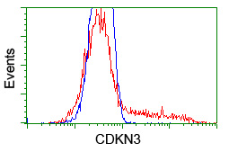 HEK293T cells transfected with either overexpress plasmid (Red) or empty vector control plasmid (Blue) were immunostained by anti-CDKN3 antibody, and then analyzed by flow cytometry.