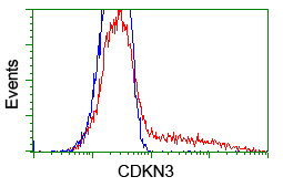 HEK293T cells transfected with either overexpress plasmid (Red) or empty vector control plasmid (Blue) were immunostained by anti-CDKN3 antibody, and then analyzed by flow cytometry.