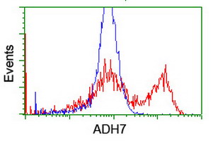 HEK293T cells transfected with either overexpress plasmid (Red) or empty vector control plasmid (Blue) were immunostained by anti-ADH7 antibody, and then analyzed by flow cytometry.