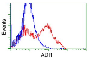HEK293T cells transfected with either overexpress plasmid (Red) or empty vector control plasmid (Blue) were immunostained by anti-ADI1 antibody, and then analyzed by flow cytometry.