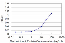 Detection limit for recombinant GST tagged ELA3A is approximately 1 ng/ml as a capture antibody.