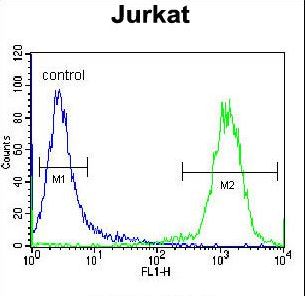 TNRC4 Antibody flow cytometry of Jurkat cells (right histogram) compared to a negative control cell (left histogram). FITC-conjugated donkey-anti-rabbit secondary antibodies were used for the analysis.