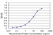 Detection limit for recombinant GST tagged CENPA is approximately 0.3 ng/ml as a capture antibody.