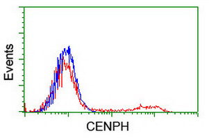 HEK293T cells transfected with either overexpress plasmid (Red) or empty vector control plasmid (Blue) were immunostained by anti-CENPH antibody, and then analyzed by flow cytometry.