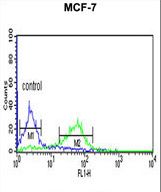 CENPN Antibody flow cytometry of MCF-7 cells (right histogram) compared to a negative control cell (left histogram). FITC-conjugated goat-anti-rabbit secondary antibodies were used for the analysis.