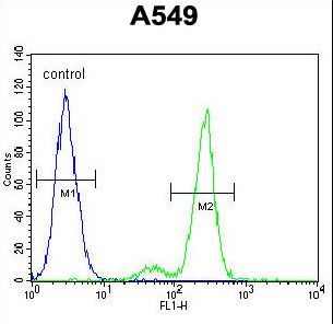 CE164 Antibody flow cytometry of A549 cells (right histogram) compared to a negative control cell (left histogram). FITC-conjugated goat-anti-rabbit secondary antibodies were used for the analysis.