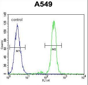 CEP70 Antibody flow cytometry of A549 cells (right histogram) compared to a negative control cell (left histogram). FITC-conjugated goat-anti-rabbit secondary antibodies were used for the analysis.
