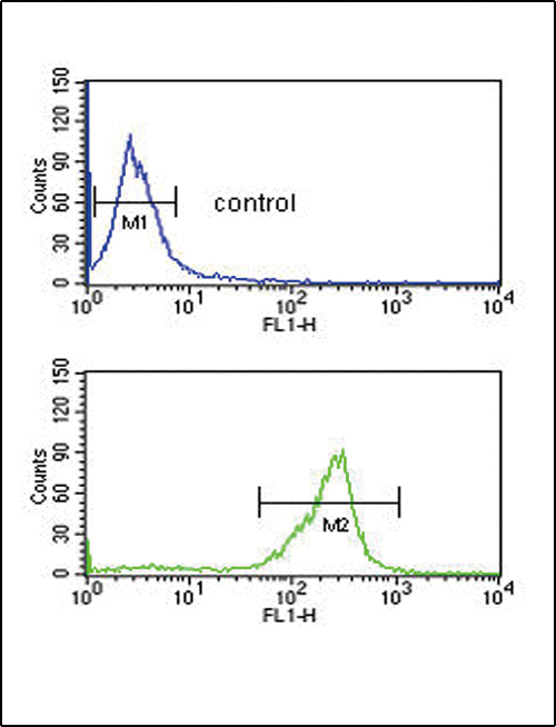 ADM Antibody flow cytometry of MDA-MB435 cells (bottom histogram) compared to a negative control cell (top histogram). FITC-conjugated goat-anti-rabbit secondary antibodies were used for the analysis.