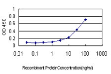 Detection limit for recombinant GST tagged CFL2 is approximately 1 ng/ml as a capture antibody.