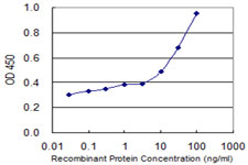 Detection limit for recombinant GST tagged ADPRH is 3 ng/ml as a capture antibody.