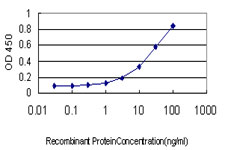 Detection limit for recombinant GST tagged ADRA1A is approximately 0.3 ng/ml as a capture antibody.