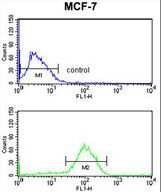AGR3 Antibody flow cytometry of MCF-7 cells (bottom histogram) compared to a negative control cell (top histogram). FITC-conjugated goat-anti-rabbit secondary antibodies were used for the analysis.