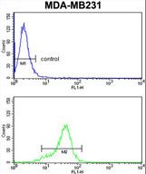 AGPAT4 Antibody flow cytometry of MDA-MB231 cells (bottom histogram) compared to a negative control cell (top histogram). FITC-conjugated goat-anti-rabbit secondary antibodies were used for the analysis.