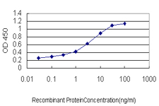 Detection limit for recombinant GST tagged AHCYL1 is approximately 0.1 ng/ml as a capture antibody.