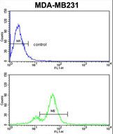 AHSA1 Antibody flow cytometry of MDA-MB231 cells (bottom histogram) compared to a negative control cell (top histogram). FITC-conjugated goat-anti-rabbit secondary antibodies were used for the analysis.