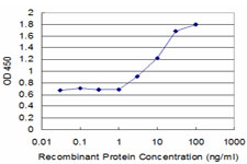 Detection limit for recombinant GST tagged TAP1 is approximately 3 ng/ml as a capture antibody.