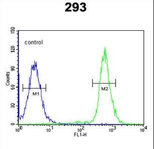 A2ML1 Antibody flow cytometry of 293 cells (right histogram) compared to a negative control cell (left histogram). FITC-conjugated goat-anti-rabbit secondary antibodies were used for the analysis.