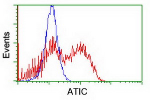 HEK293T cells transfected with either overexpress plasmid (Red) or empty vector control plasmid (Blue) were immunostained by anti-ATIC antibody, and then analyzed by flow cytometry.