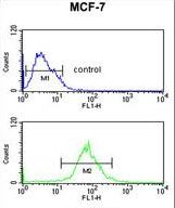 AIM2 Antibody flow cytometry of MCF-7 cells (bottom histogram) compared to a negative control cell (top histogram). FITC-conjugated goat-anti-rabbit secondary antibodies were used for the analysis.