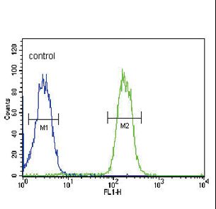 ABCC3 Antibody flow cytometry of MDA-MB435 cells (right histogram) compared to a negative control cell (left histogram). FITC-conjugated goat-anti-rabbit secondary antibodies were used for the analysis.
