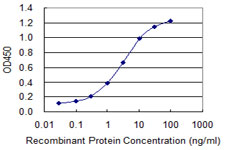 Detection limit for recombinant GST tagged ABCC8 is 0.03 ng/ml as a capture antibody.
