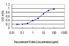 Detection limit for recombinant GST tagged ALAS2 is approximately 0.1 ng/ml as a capture antibody.