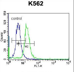 ABCD2 Antibody flow cytometry of K562 cells (right histogram) compared to a negative control cell (left histogram). FITC-conjugated donkey-anti-rabbit secondary antibodies were used for the analysis.