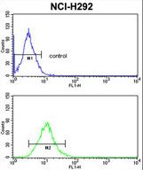CD166 Antibody flow cytometry of NCI-H292 cells (bottom histogram) compared to a negative control cell (top histogram). FITC-conjugated goat-anti-rabbit secondary antibodies were used for the analysis.