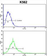 ALDH18A1 Antibody flow cytometry of k562 cells (bottom histogram) compared to a negative control cell (top histogram). FITC-conjugated goat-anti-rabbit secondary antibodies were used for the analysis.