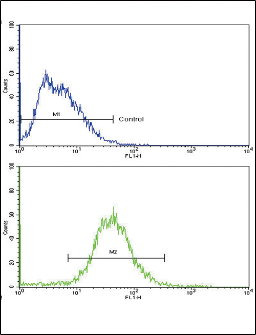 Flow cytometric of HepG2 cells using ALDH1A1 Antibody (bottom histogram) compared to a negative control cell (top histogram). FITC-conjugated goat-anti-rabbit secondary antibodies were used for the analysis.