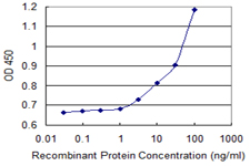 Detection limit for recombinant GST tagged ALDH3B1 is 1 ng/ml as a capture antibody.