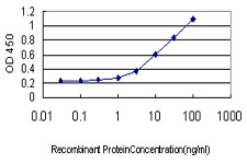 Detection limit for recombinant GST tagged ALDOB is approximately 0.3 ng/ml as a capture antibody.