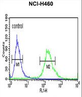 ALG14 Antibody flow cytometry of NCI-H460 cells (right histogram) compared to a negative control cell (left histogram). FITC-conjugated goat-anti-rabbit secondary antibodies were used for the analysis.
